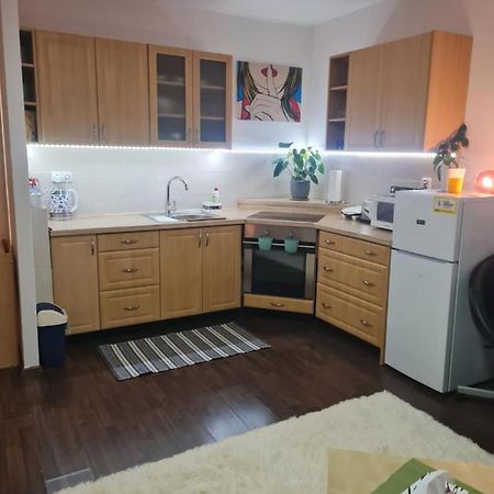 Apartman Sofie1 Lejlighed Litoměřice Eksteriør billede